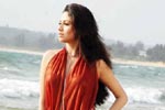 Sada Spicy Photos